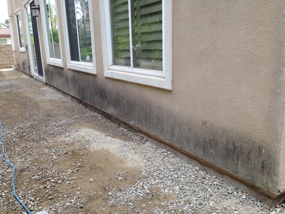 Soil errosion & mildew from lack of gutters.